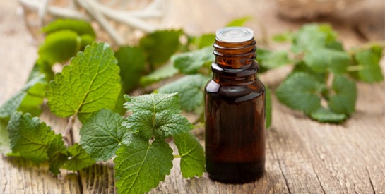 Comment utiliser l`huile essentielle de menthe poivrée pour soulager les douleurs ?