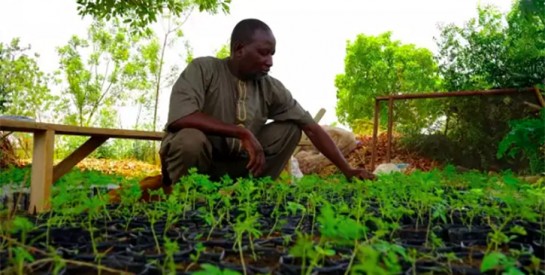 Au Burkina Faso, une ferme agroécologique veut réinventer « le monde d’après »