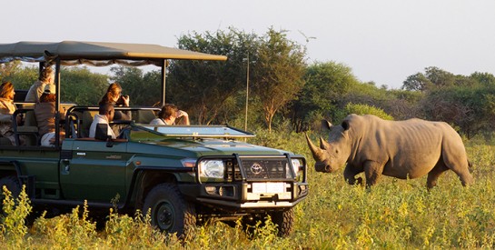 Les parcs nationaux rouverts ce lundi aux touristes en Afrique du Sud