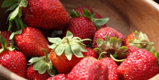 Six bonnes raisons de manger des fraises