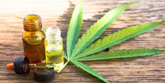 Santé capillaire et cannabis : l’herbe favorise des cheveux forts