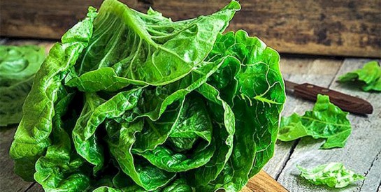 Comment bien laver une salade verte sans produit chimique?