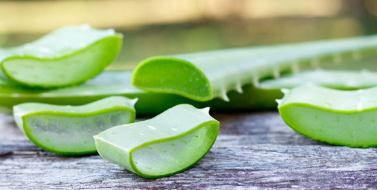 L’aloe vera pour hydrater et renforcer les ongles cassants