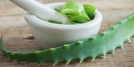 Soins d'aloe vera efficaces contre les vergetures