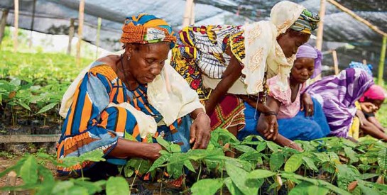 L’importante dégradation de l’emploi des femmes