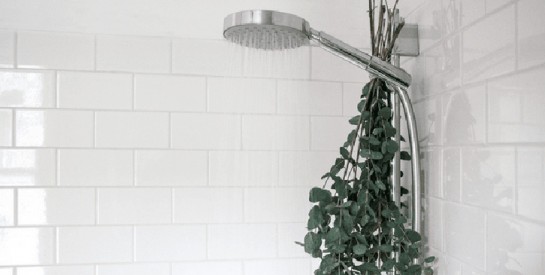 Pourquoi il est bon d’accrocher des branches d’eucalyptus dans sa douche