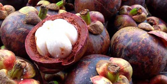 Le mangoustan et ses bienfaits : un fruit antioxydant et anti-inflammatoire
