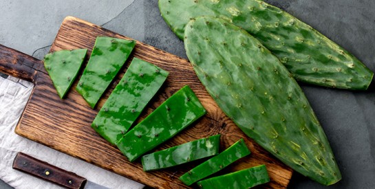 L’huile de cactus pour rendre vos cheveux brillants et souples comme jamais auparavant