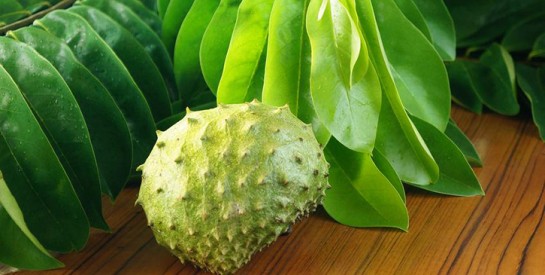 Le corossol, un fruit aux nombreuses vertus