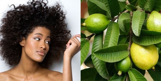 Des solutions naturelles contre la chute des cheveux