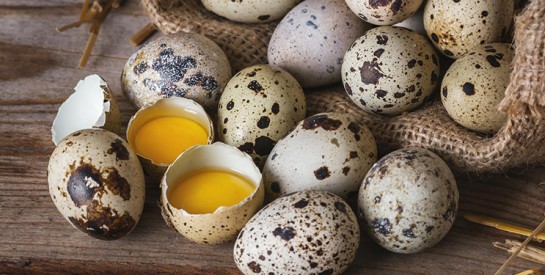 Les oeufs de caille : voici pourquoi vous ne devez plus vous en passer