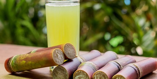 Les bienfaits du jus de canne à sucre pour la peau