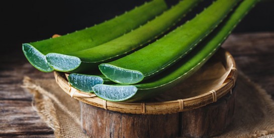 Le gel d'aloe vera pour éliminer les taches foncées et les imperfections cutanées de la  peau