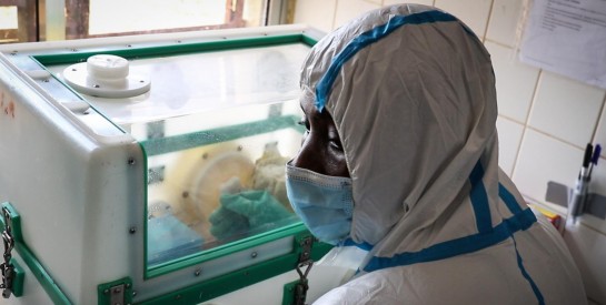 La Côte d’Ivoire déclare la première épidémie d’Ebola depuis plus de 25 ans