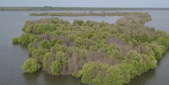 Sénégal : l'île du Diable recèle bien des mystères