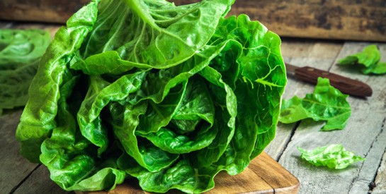 3 astuces pour conserver sa salade toujours fraîche