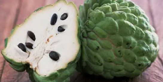 Les avantages étonnants du cherimoya pour notre santé