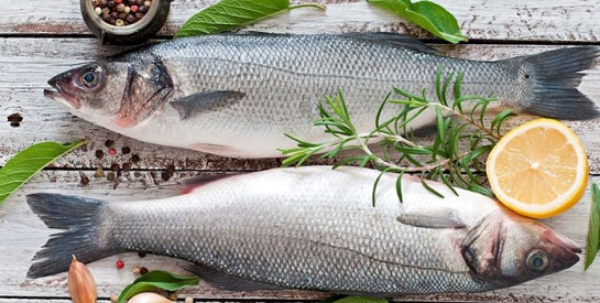 Quel est le meilleur poisson à mettre dans son assiette ?