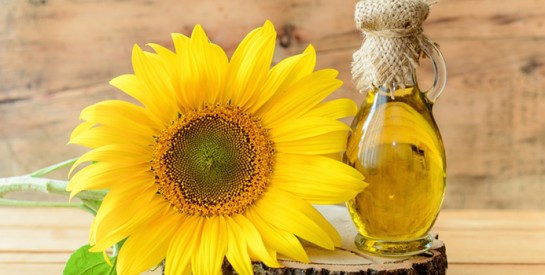 Huile de tournesol : si vous avez la peau sèche, faites-en votre allié!