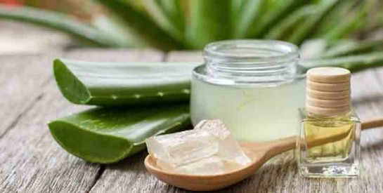 Le gel d’aloe vera, une solution pour soulager les hémorroïdes