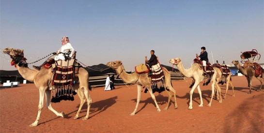 En Arabie saoudite, un hôtel de luxe pour chameaux
