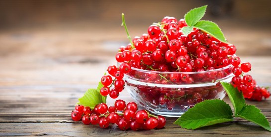 Groseille : bienfaits, richesse nutritive