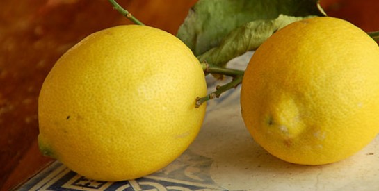 Voici comment conserver vos citrons frais pendant un mois