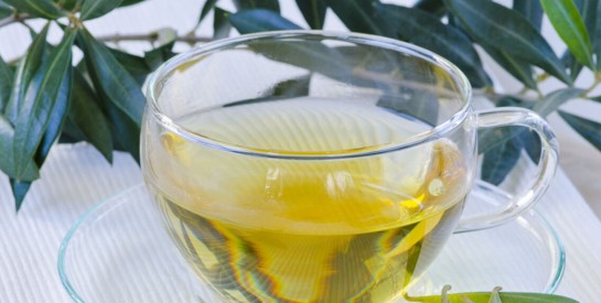 Infusion d'eucalyptus pour améliorer la digestion