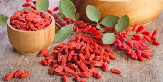 Baies de goji : tout savoir sur ce fruit allié de votre santé