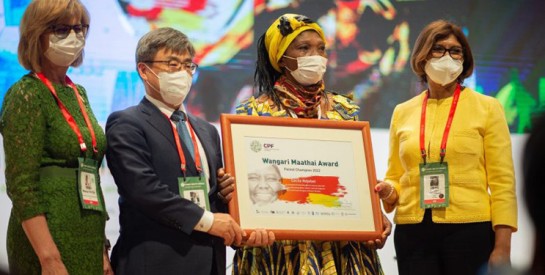 Cécile Ndjebet, ``championne de la cause des forêts``