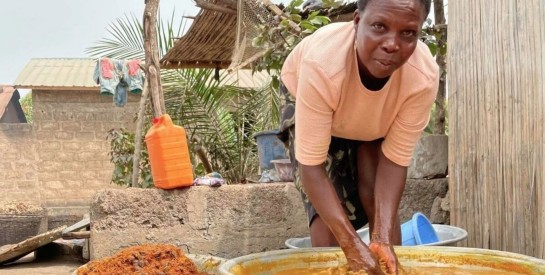Micro-entreprises au Togo : 48% des activités sont menées par les femmes