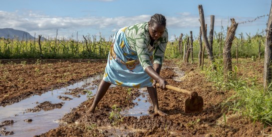 D’après un rapport de l’ONU, la faim dans le monde progresse et pourrait avoir touché jusqu’à 828 millions de personnes en 2021