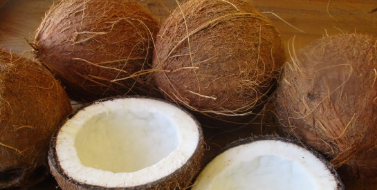 La noix de coco: le fruit exotique qui possède à lui seul de multiples solutions pour la santé.