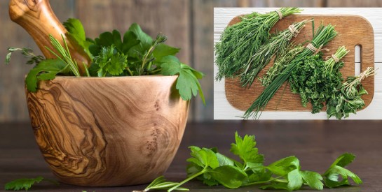 Les bienfaits des herbes aromatiques dans nos assiettes