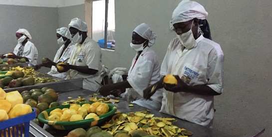 La FAO ouvre une formation destinée aux femmes entrepreneures dans l’agroalimentaire en Afrique