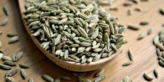 Recette tisane de graines de fenouil pour bien digérer et perdre du ventre