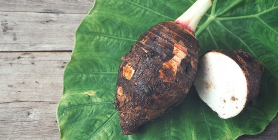 Les feuilles de taro pour renforcer efficacement votre système immunitaire