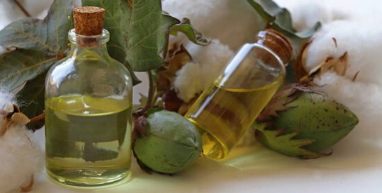 L'huile de coton : comestible et bonne pour notre santé