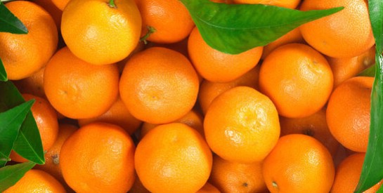 Les 5 principaux bienfaits des oranges pour la santé