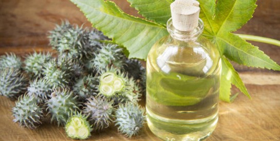 Les bienfaits de l'huile de ricin pour le corps et les cheveux