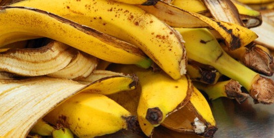 Les peaux de bananes, beaucoup plus utiles qu'on ne le pense