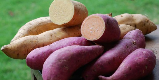 La patate douce peut réduire votre taux de cholestérol