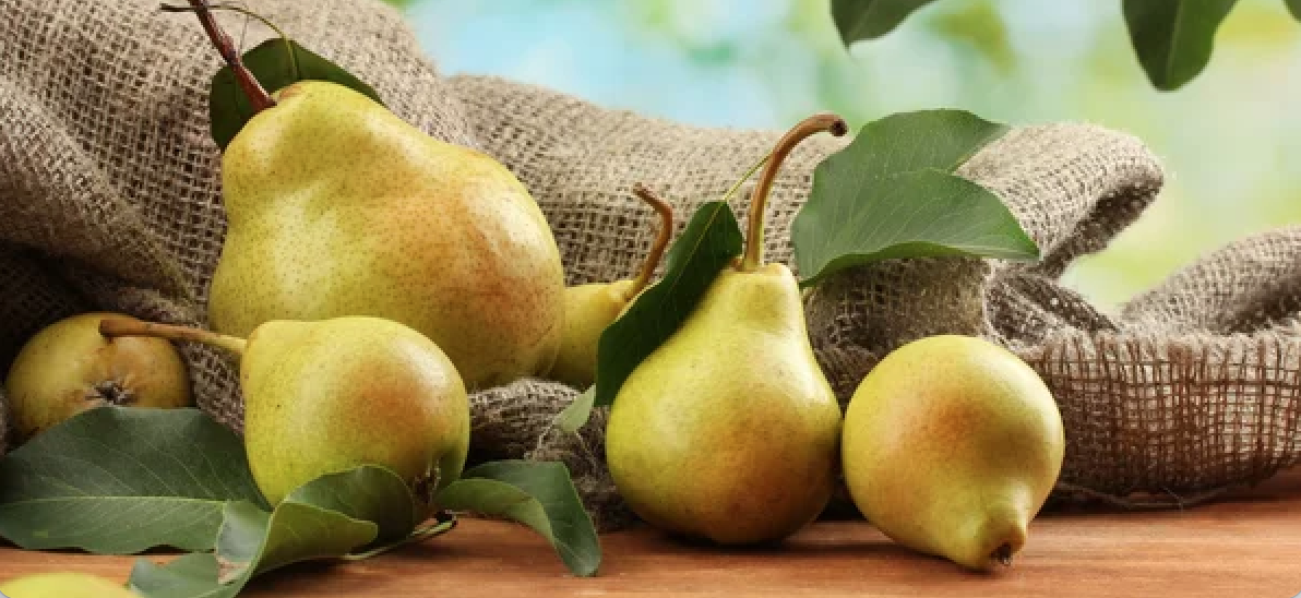 Les bienfaits nutritionnels de la poire sur notre santé