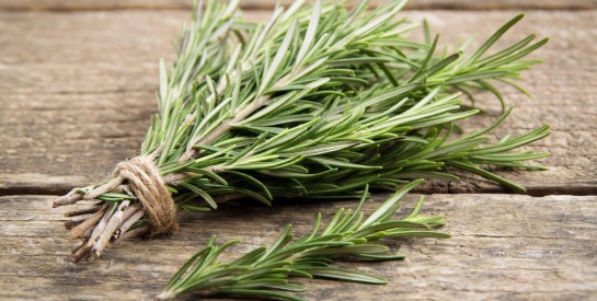 Le romarin, un anti-inflammatoire naturel pour soulager les douleurs musculaires et articulaires