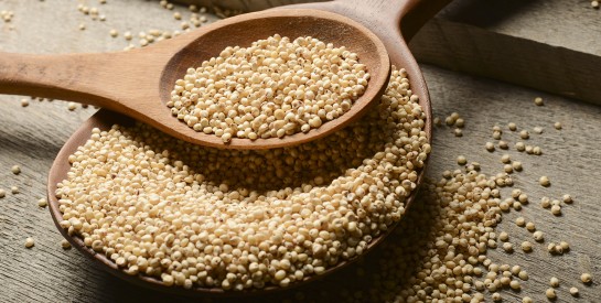 Le sorgho, la céréale sans gluten qui permet de varier votre alimentation