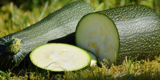 Les bienfaits de la courgette