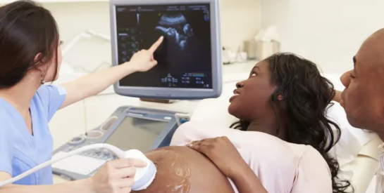 La gastrulation : quelle est cette étape mystérieuse de la gestation ?