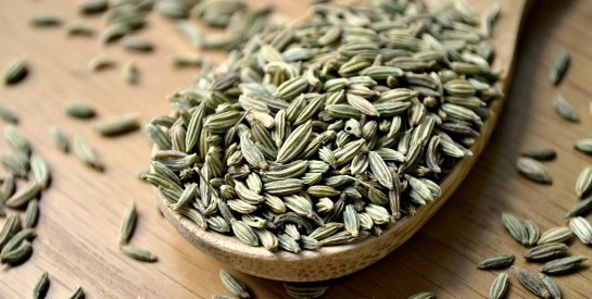 La tisane de fenouil, l'indispensable des fins de repas