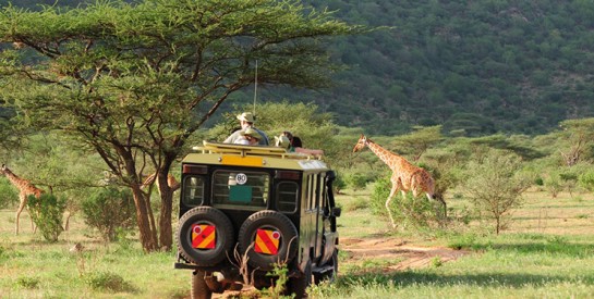 Safari Afrique : Top 5 des meilleures destinations en 2023