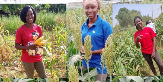 Burkina : Cherifa Zerbo, la technicienne agronome qui veut attirer les filles vers l’agriculture
